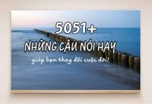5051+ những câu nói hay, ý nghĩa giúp bạn thay đổi cuộc đời