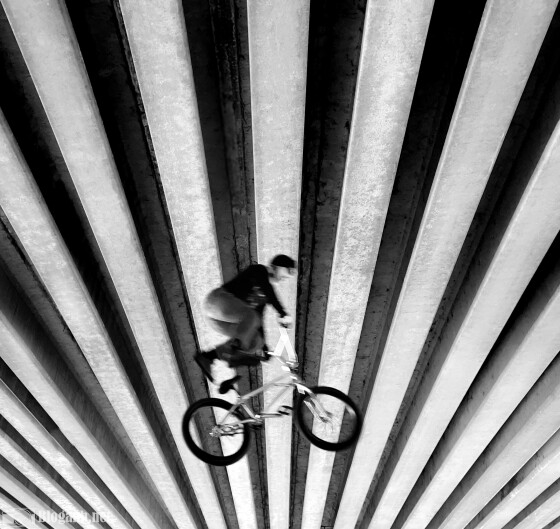 xe đạp, đường, ảnh đen trắng