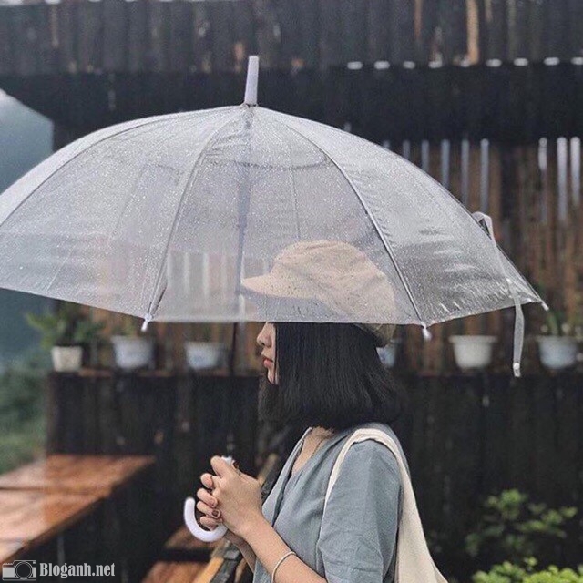 cô gái, ô trong suốt, mưa